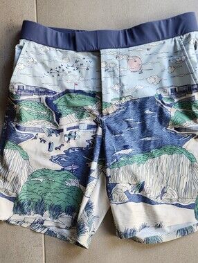 Greyson Mens  Light Blue Scenic Print Swim Board Shorts Size 31